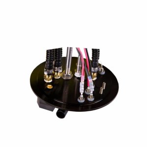 Ford F-150 In-Tank Fuel Pump - Aeromotive - Dual 450 Phantom System - `15-`21