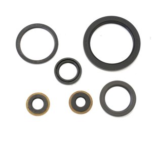 Yamaha YFM 250 Big Bear Engine Oil Seal Kit - Athena - `05-`08