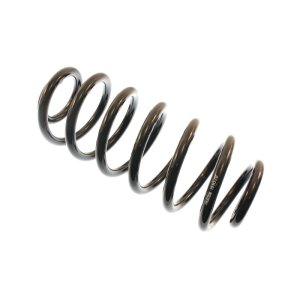 Cadillac Escalade EXT Coil Spring - Rear - Bilstein - B3 OE Replacement - Blue - `02-`06 Cadillac Escalade EXT Coil Spring - Rear - Bilstein - B3 OE Replacement - Blue - `02-`06