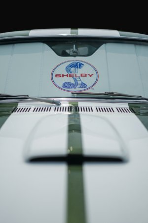 Ford Mustang Window Shade - Covercraft - Premier Series UVS100 with Shelby Snake logo - `15-`23