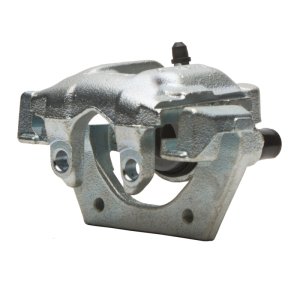 BMW X5 Brake Caliper - Rear - DFC - Premium - Silver - `00-`06