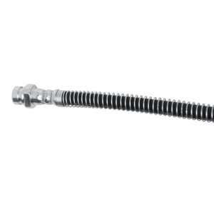 Hyundai Accent Brake Hose - Front - DFC - `00-`05