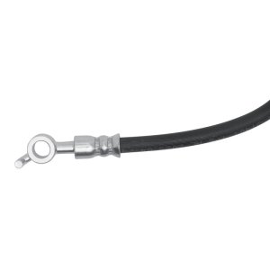 Hyundai Kona Brake Hose - Front - DFC - 2018