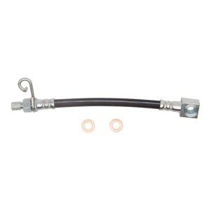Dodge Ram 1500 Brake Hose - Rear - DFC - `05-`06