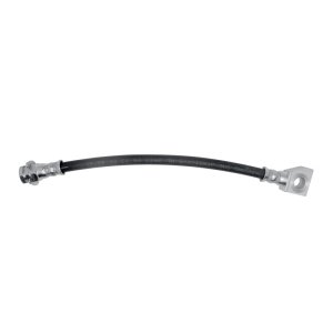 Ford F-150 Brake Hose - Rear - DFC - 2002