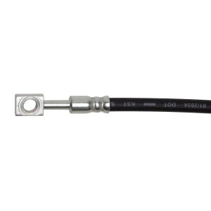 Audi S8 Brake Hose - Rear - DFC - `19-`24