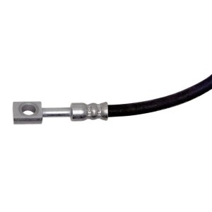 Audi SQ5 Brake Hose - Rear - DFC - `18-`24