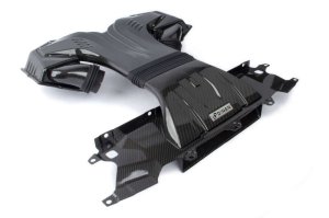 BMW X6 Performance Air Intake - Dinan - Cold Air Intake - Carbon Fiber - `20-`26