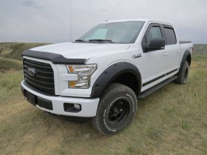Ford F-150 Hood Shield - EGR - Superguard - Matte Black - `15-`20