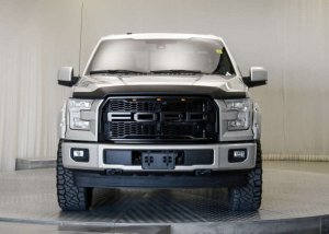 Ford F-150 Hood Shield - EGR - Superguard - Matte Black - `15-`20