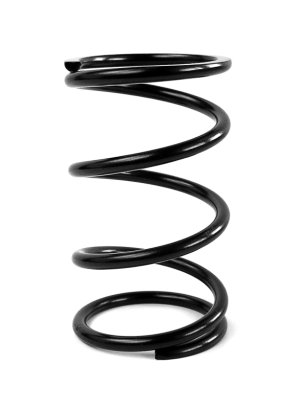 Can-Am X3 Clutch Spring - EPI - Primary - Black - `16-`27