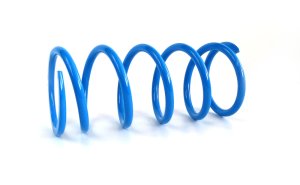 Can-Am X3 Clutch Springs - EPI - Primary Spring - Blue - `16-`27
