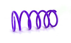 Can-Am X3 Clutch Spring - EPI - Primary - Dark Purple - `16-`27