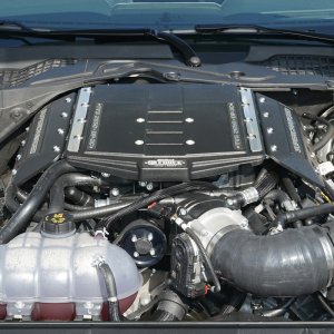 Ford Mustang Supercharger - Edelbrock - E-Force Stage-1 with R2650 TVS Rotor - Black - `18-`20