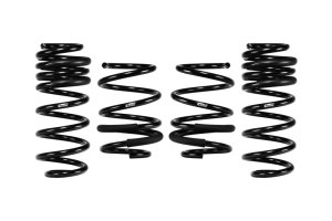 Honda Civic Type R Lowering Springs - Eibach - Pro-Kit - `22-`23