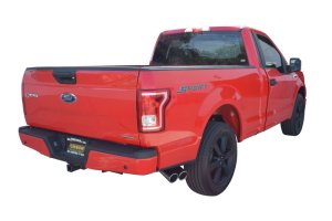 Ford F-150 Performance Exhaust - Rear - Gibson - Cat Back, Dual Sport - Polished Stainless - `15-`19