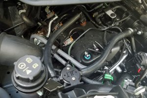 Ford Transit 250 Oil Separator - Passenger Side - J&L - 3.0 - Black Anodized - `15-`25 Ford Transit 250 Oil Separator - Passenger Side - J&L - 3.0 - Black Anodized - `15-`25