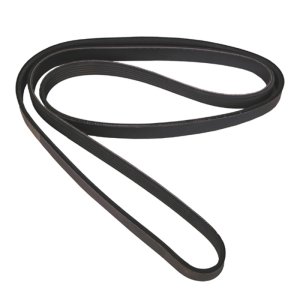 Jeep Wrangler TJ Serpentine Belt - OMIX - `97-`02