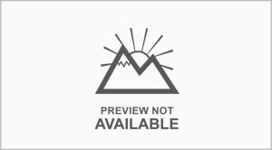 Honda Fit Brake Pads - Front - PowerStop - Z17 Evolution Ceramic - `06-`08