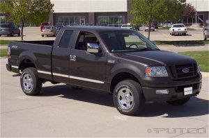Ford F-150 Body Side Molding - Putco - Billet Aluminum - `04-`08