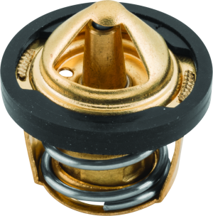 Polaris ATP 500 Thermostat - QuadBoss - `04-`05