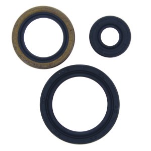 Polaris ATP 500 4x4 Oil Seal Set - QuadBoss - `04-`05
