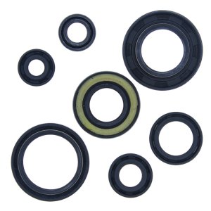 Yamaha YFS200 Blaster Oil Seal Set - QuadBoss - `88-`06