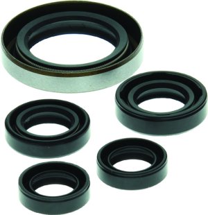 Polaris Outlaw 500 Oil Seal Set - QuadBoss - `06-`07
