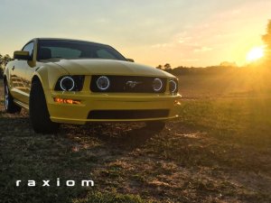 Ford Mustang Fog Lights - Raxiom - LED Halo with CCFL Halo Accent Lighting - Smoked - `05-`12