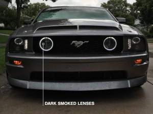 Ford Mustang Fog Lights - Raxiom - LED Halo with CCFL Halo Accent Lighting - Smoked - `05-`12