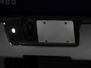 Chevrolet Silverado 1500 License Plate Bulbs - Rear - Raxiom - Axial Series LED - White - `14-`18
