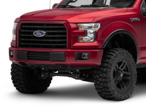 Ford F-150 Fog Lights - Raxiom - Axial Series Dual Function - White/Amber - `15-`20
