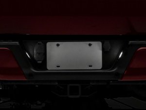 Ford F-150 License Plate Bulbs - Raxiom - Axial Series LED - Smoked - `07-`14