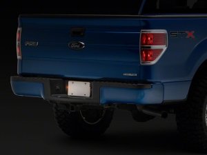 Ford F-150 License Plate Bulbs - Raxiom - Axial Series - `97-`14