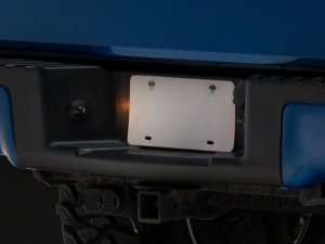 Ford F-150 License Plate Bulbs - Raxiom - Axial Series - `97-`14