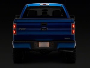 Ford F-150 License Plate Bulbs - Raxiom - Axial Series - `97-`14