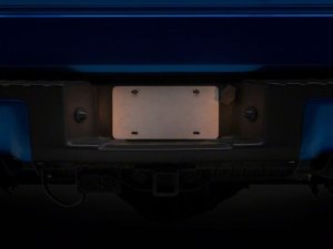 Ford F-150 License Plate Bulbs - Raxiom - Axial Series - `97-`14