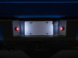 Ford F-150 License Plate Bulbs - Raxiom - LED - White and Red - `04-`14
