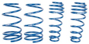 Ford Mustang Lowering Springs - Roush - RSH Coil Springs - `05-`14