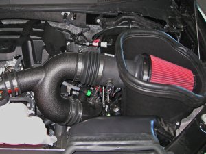 Ford F-150 Raptor Performance Air Intake - Roush - Cold Air Kit - `15-`17