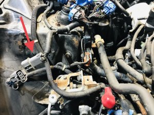 Honda Prelude Chassis Specific Adapter - Rywire - Send Two Pin Core Connector - `97-`01