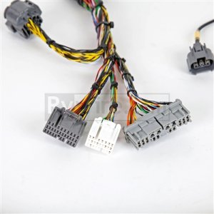 Honda RSX Engine Wiring Harness - Rywire - Mil-Spec - `02-`04 Honda RSX Engine Wiring Harness - Rywire - Mil-Spec - `02-`04