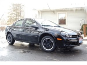 Dodge Neon Headlights - SPYDER - LED Halo - Black - `00-`02