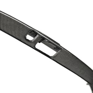 Honda Civic Type R Rear License Trim - Seibon - Carbon Fiber - Carbon - `17-`20