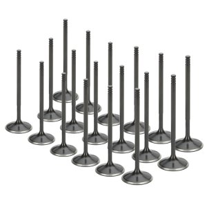 Volkswagen Passat Intake Valves - Supertech - Nitrided - Black - `98-`05