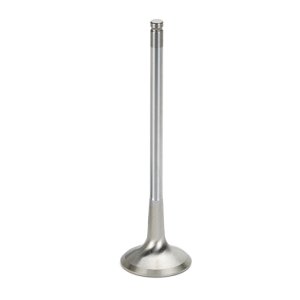 BMW M5 Exhaust Valves - Supertech - Inconel, +2mm Oversize, Set of 20 - `05-`10