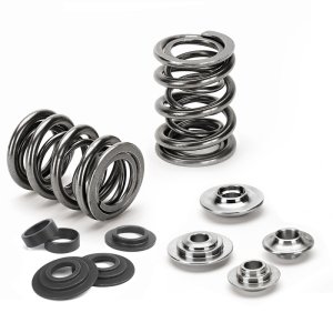 BMW Z3 Dual Valve Spring Kit - Supertech - Dual, with SEAT-BMS54 spring seats - `01-`02 BMW Z3 Dual Valve Spring Kit - Supertech - Dual, with SEAT-BMS54 spring seats - `01-`02