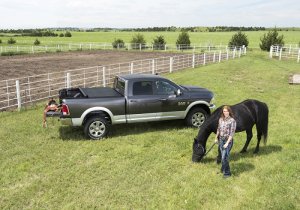 Ford F-350 Super Duty Tonneau Cover - Truxedo - TruXport - Black - `17-`26