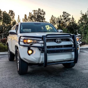 Toyota 4Runner Grille Guard - Westin - Sportsman X - Textured Black - `14-`21