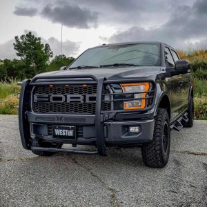 Ford F150 Grille Guard - Westin - Sportsman X - Textured Black - `15-`20